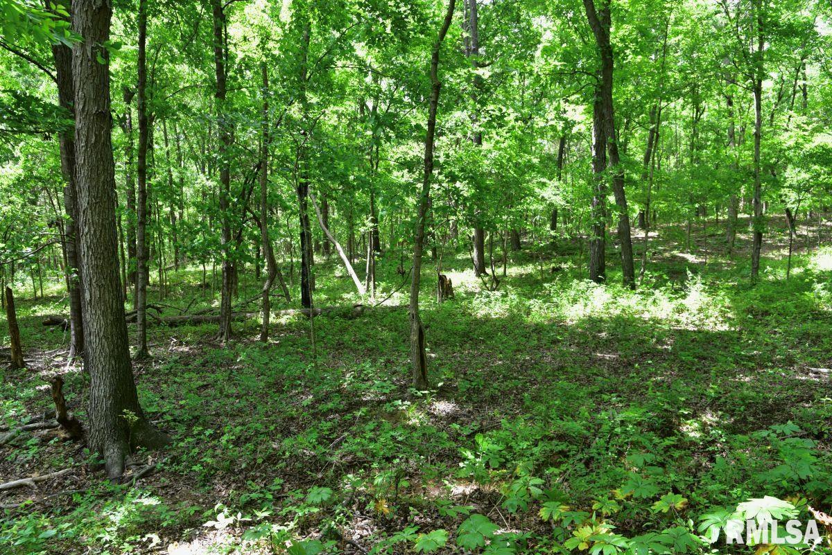 3 Battleford Road Stonefort, IL 62987 - Photo 18 of 25