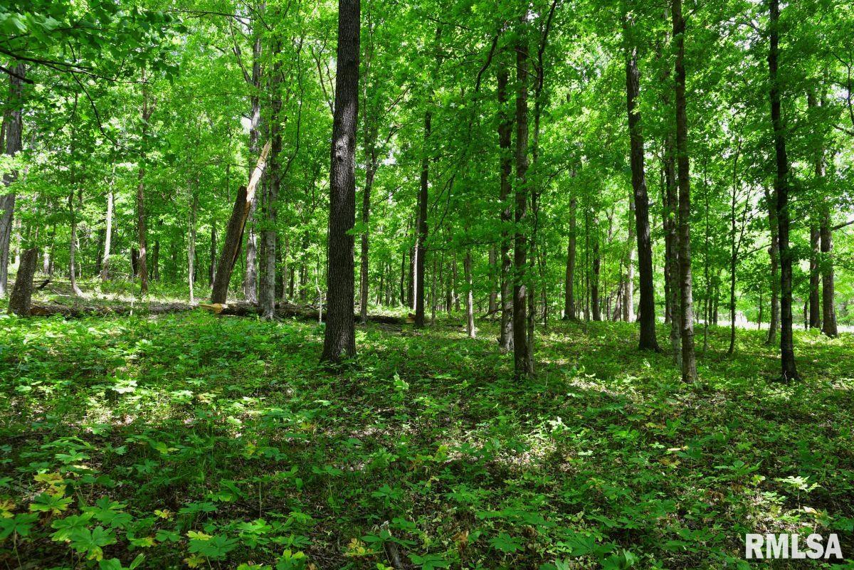 3 Battleford Road Stonefort, IL 62987 - Photo 19 of 25