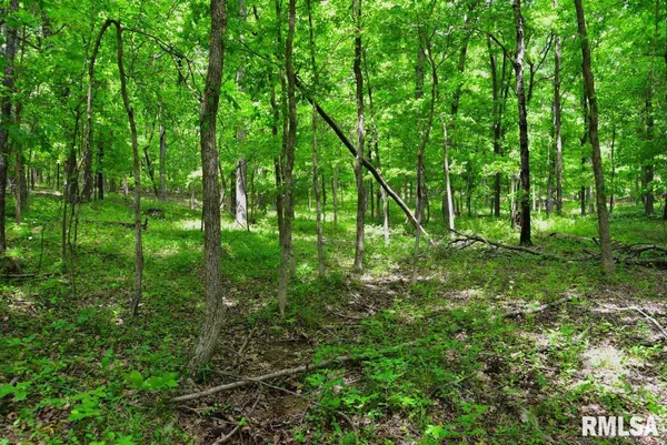 $40,370 | 3 Battleford Road, Stonefort, IL 62987