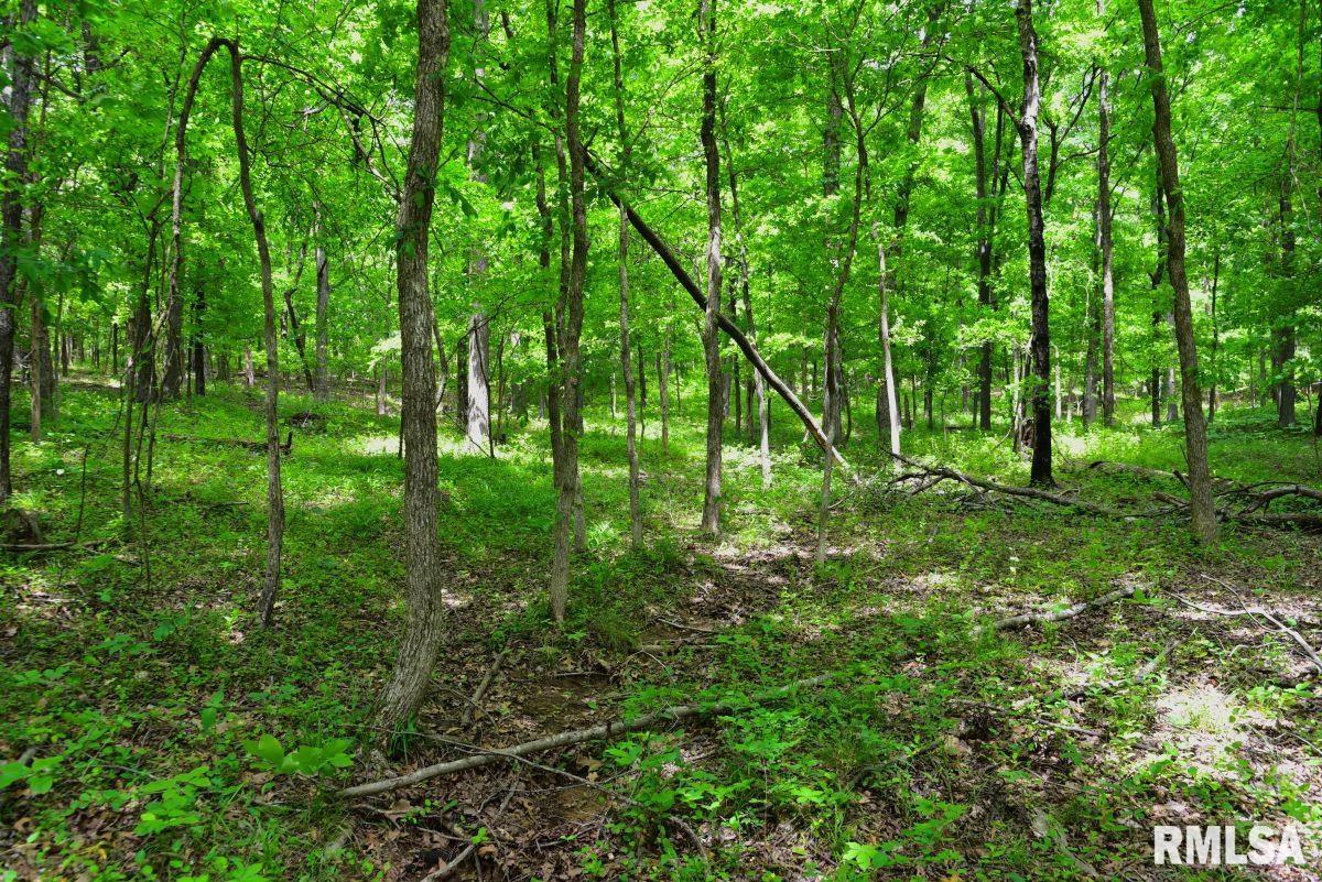 3 Battleford Road Stonefort, IL 62987 - Photo 20 of 25