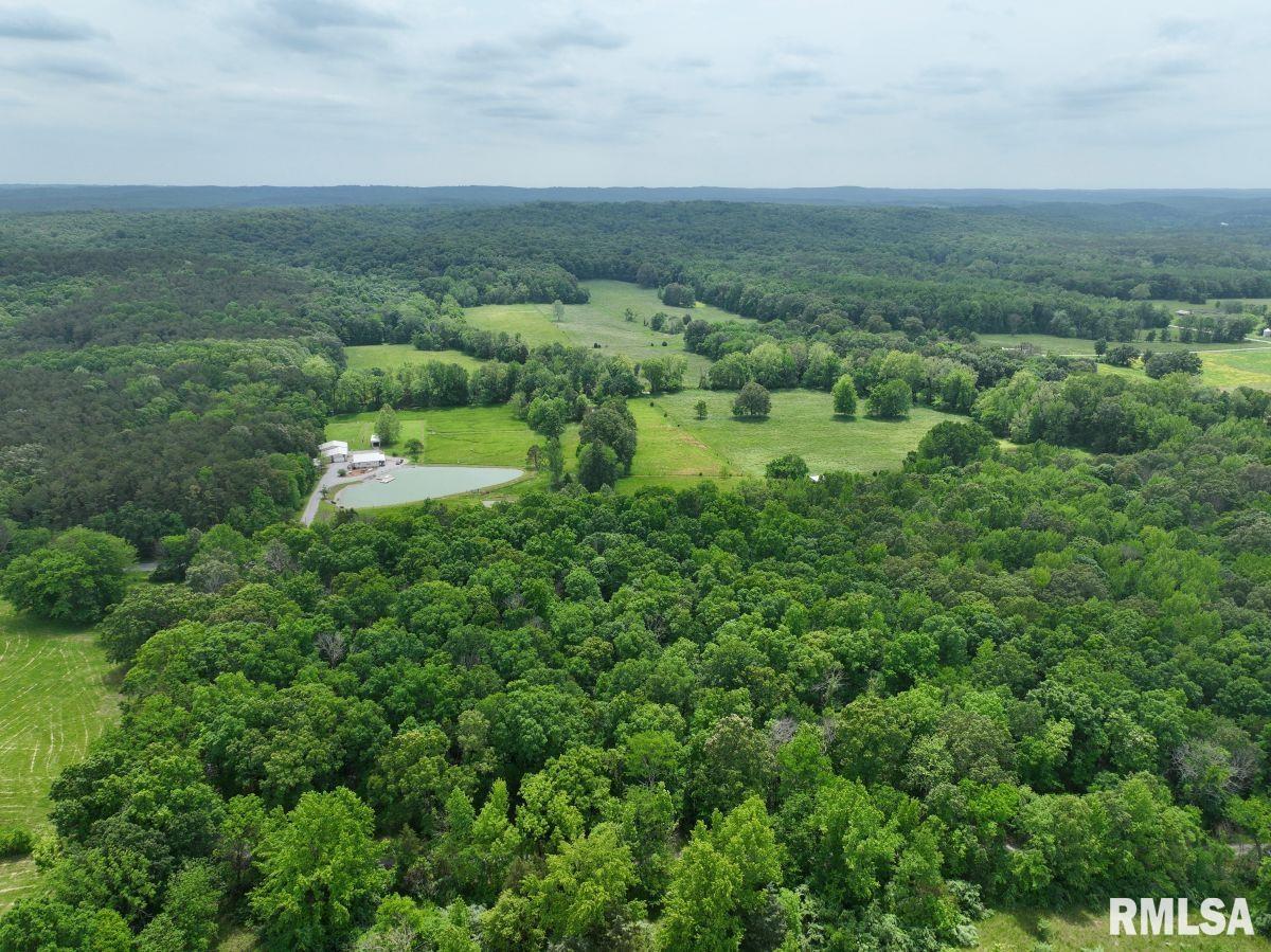 3 Battleford Road Stonefort, IL 62987 - Photo 21 of 25