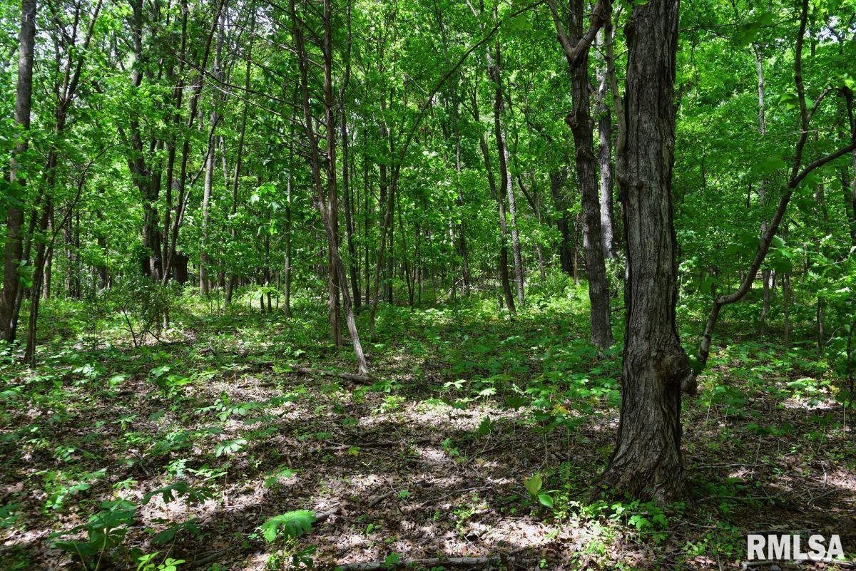 3 Battleford Road Stonefort, IL 62987 - Photo 22 of 25