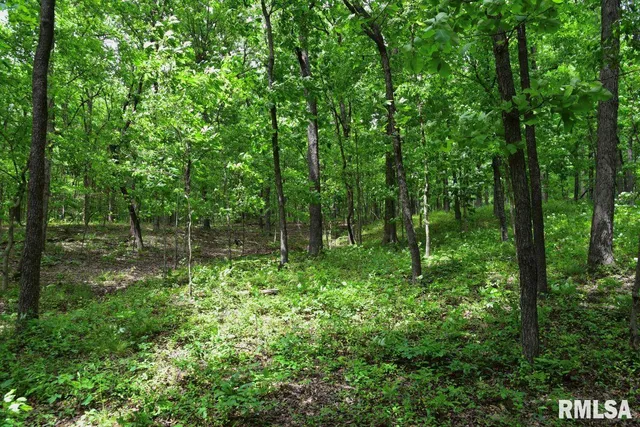 $42,875 | 3 Battleford Road, Stonefort, IL 62987