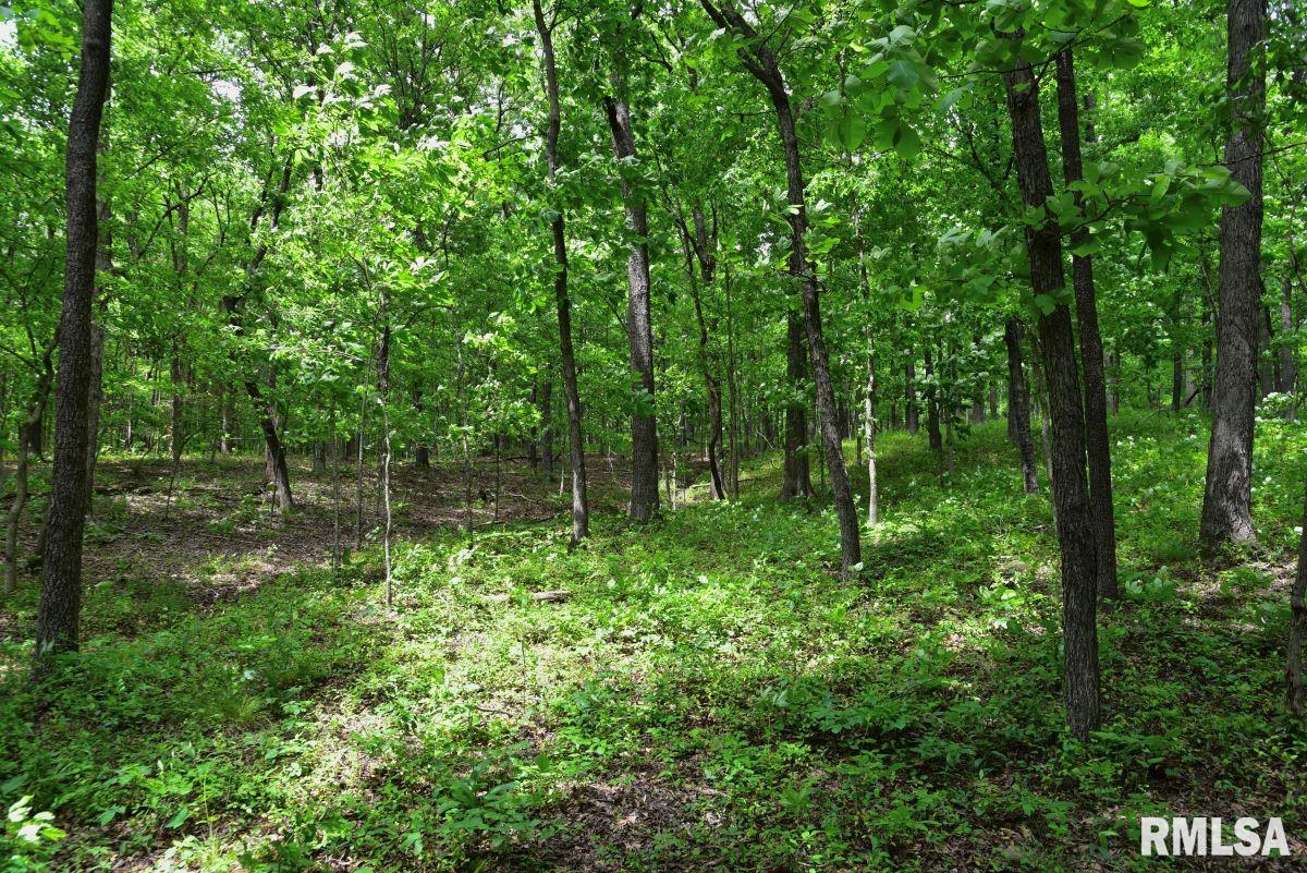 3 Battleford Road Stonefort, IL 62987 - Photo 23 of 25