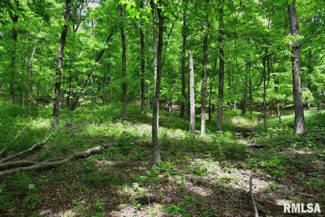 $42,875 | 3 Battleford Road, Stonefort, IL 62987