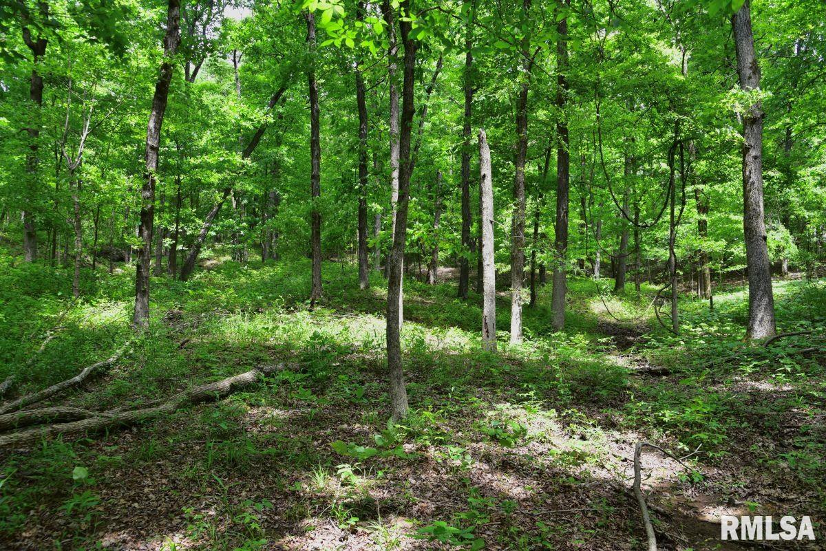 3 Battleford Road Stonefort, IL 62987 - Photo 24 of 25