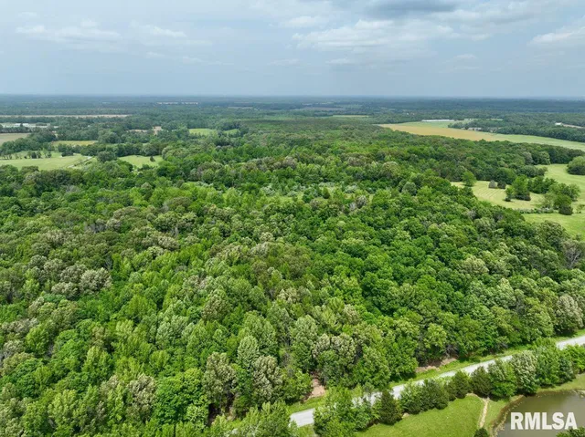 $42,875 | 3 Battleford Road, Stonefort, IL 62987