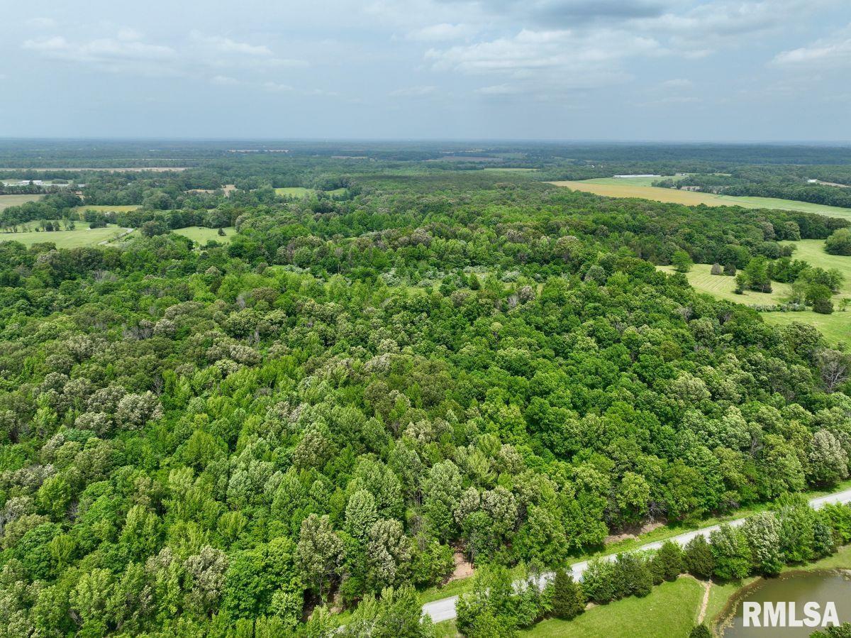 3 Battleford Road Stonefort, IL 62987 - Photo 25 of 25
