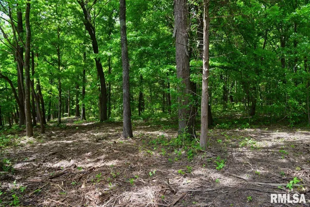 $42,875 | 3 Battleford Road, Stonefort, IL 62987