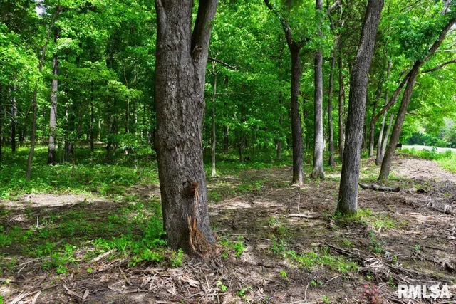 $42,875 | 3 Battleford Road, Stonefort, IL 62987