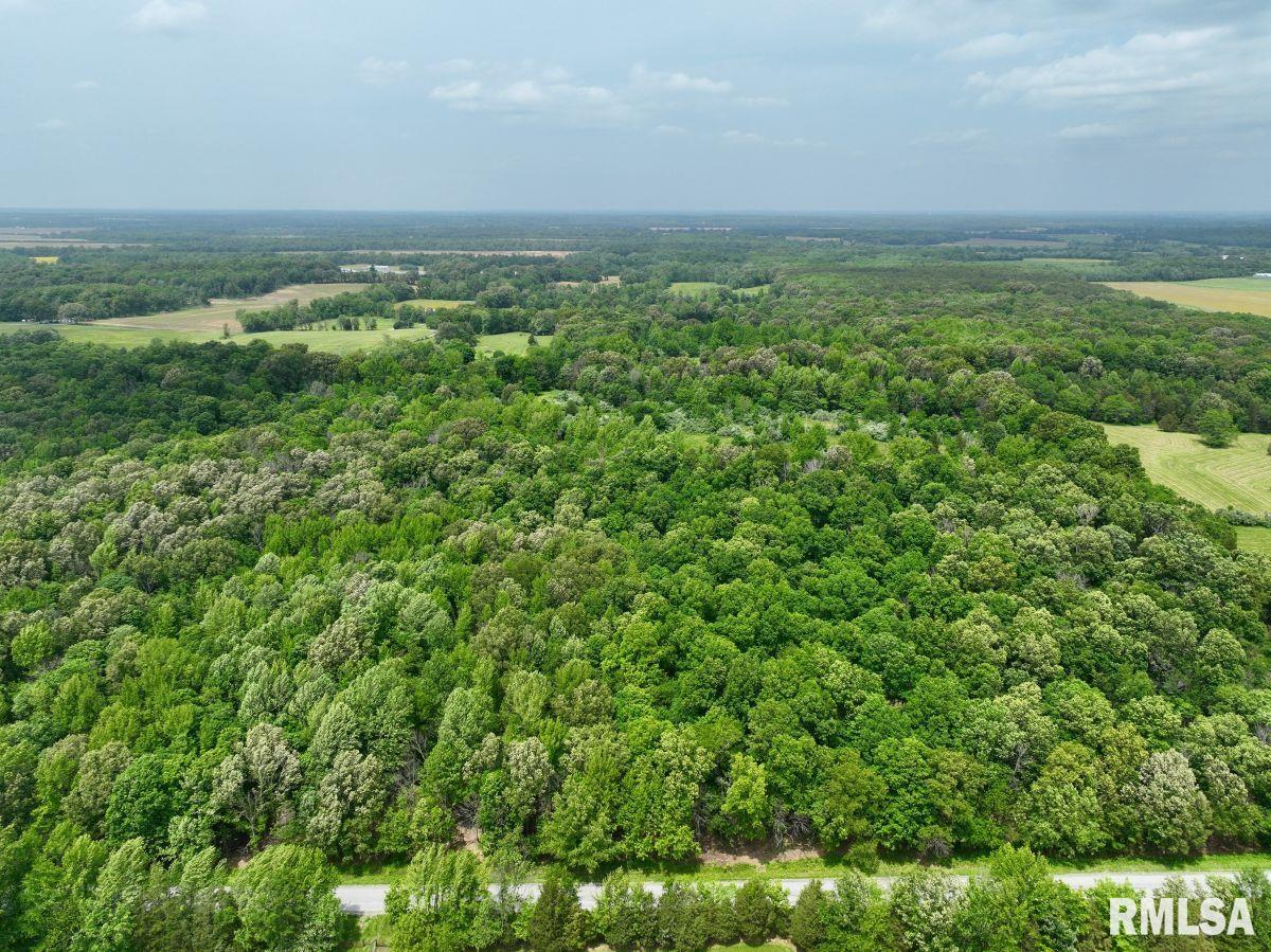 3 Battleford Road Stonefort, IL 62987 - Photo 5 of 25