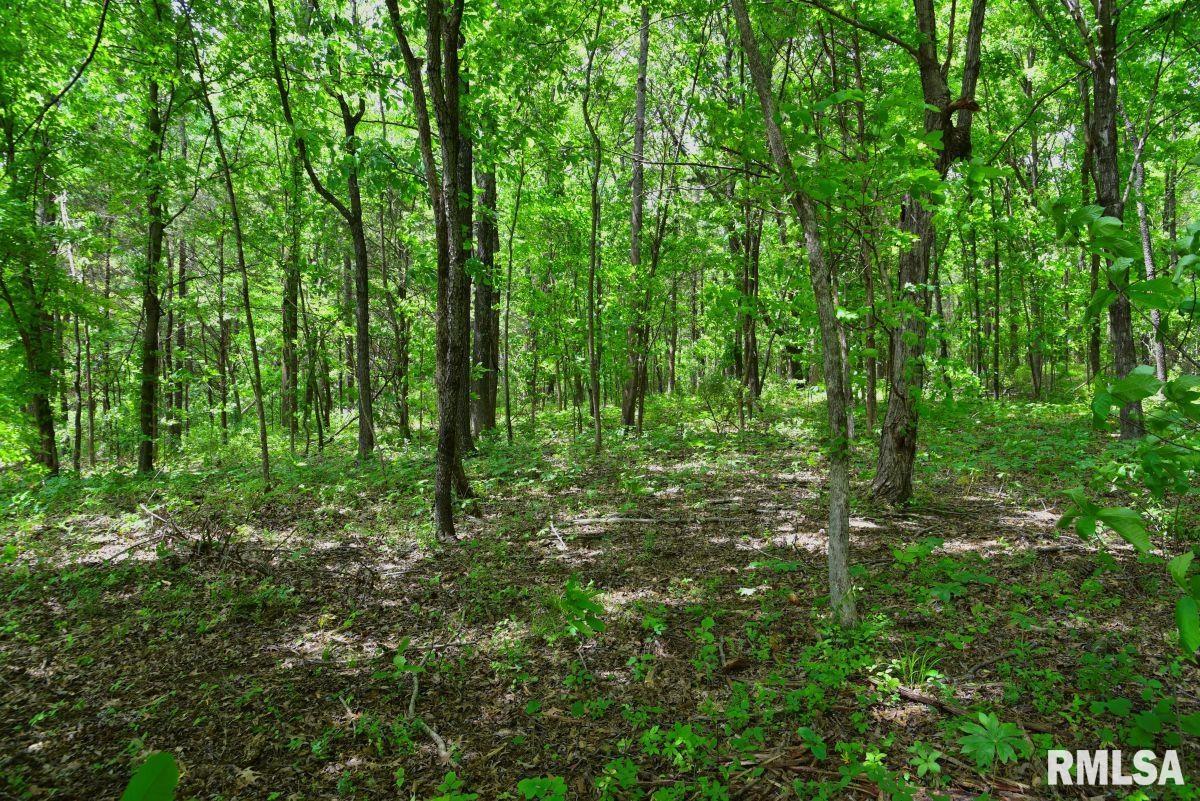 3 Battleford Road Stonefort, IL 62987 - Photo 6 of 25