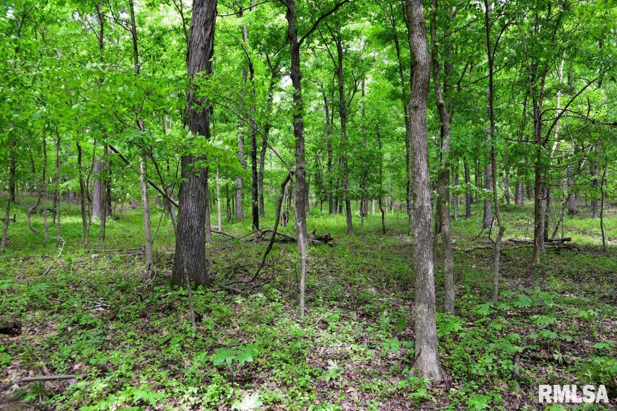 3 Battleford Road Stonefort, IL 62987 - Photo 7 of 25