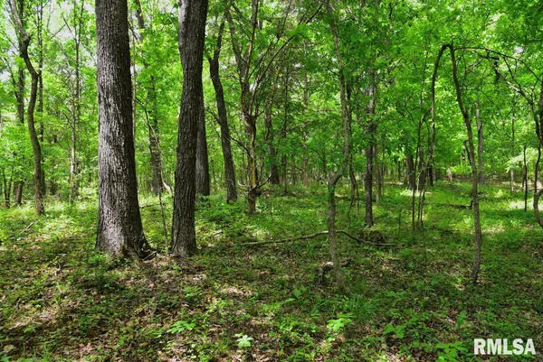 $40,370 | 3 Battleford Road, Stonefort, IL 62987