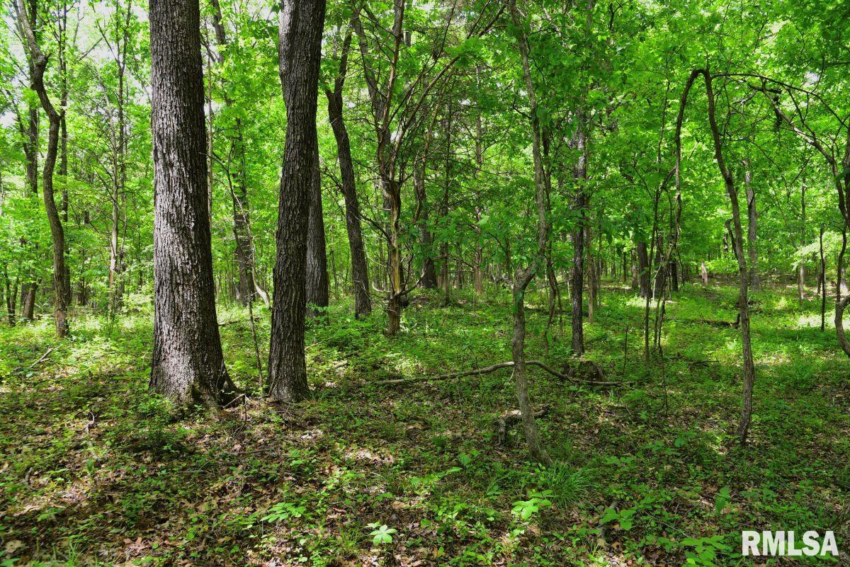 3 Battleford Road Stonefort, IL 62987 - Photo 8 of 25