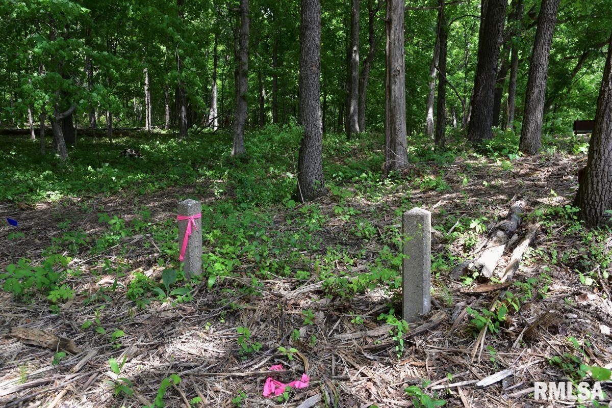 3 Battleford Road Stonefort, IL 62987 - Photo 9 of 25