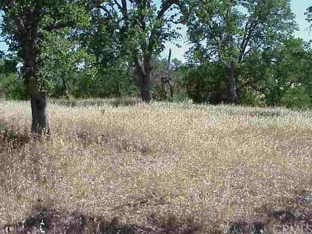 158 Lake Hill Road Corning, CA 96021 - Photo 1 of 1
