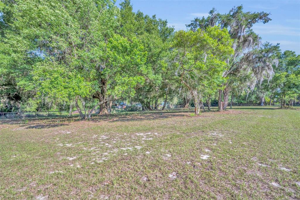 495 1st Street Geneva, FL 32732 - Photo 33 of 41