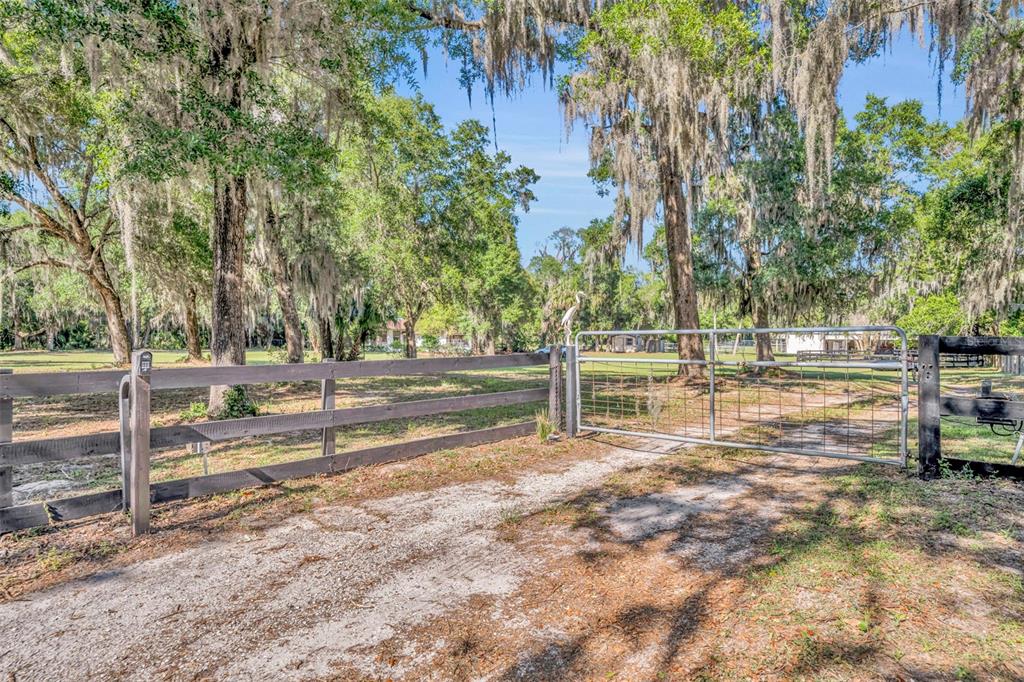 495 1st Street Geneva, FL 32732 - Photo 35 of 41