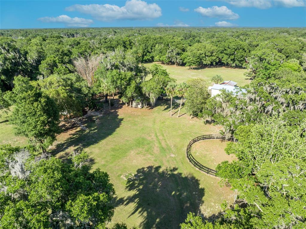 495 1st Street Geneva, FL 32732 - Photo 37 of 41