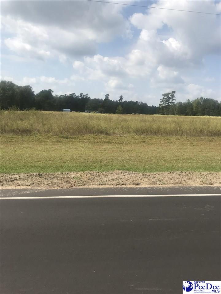 Tbd Sandhill Road Turbeville, SC 29162 - Photo 1 of 1 Gallery Image 1