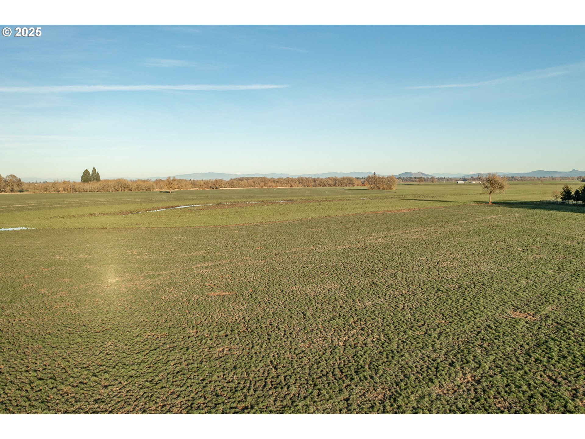33154 Nxt To) Oakville Road Albany, OR 97321 - Photo 12 of 23 Gallery Image 12