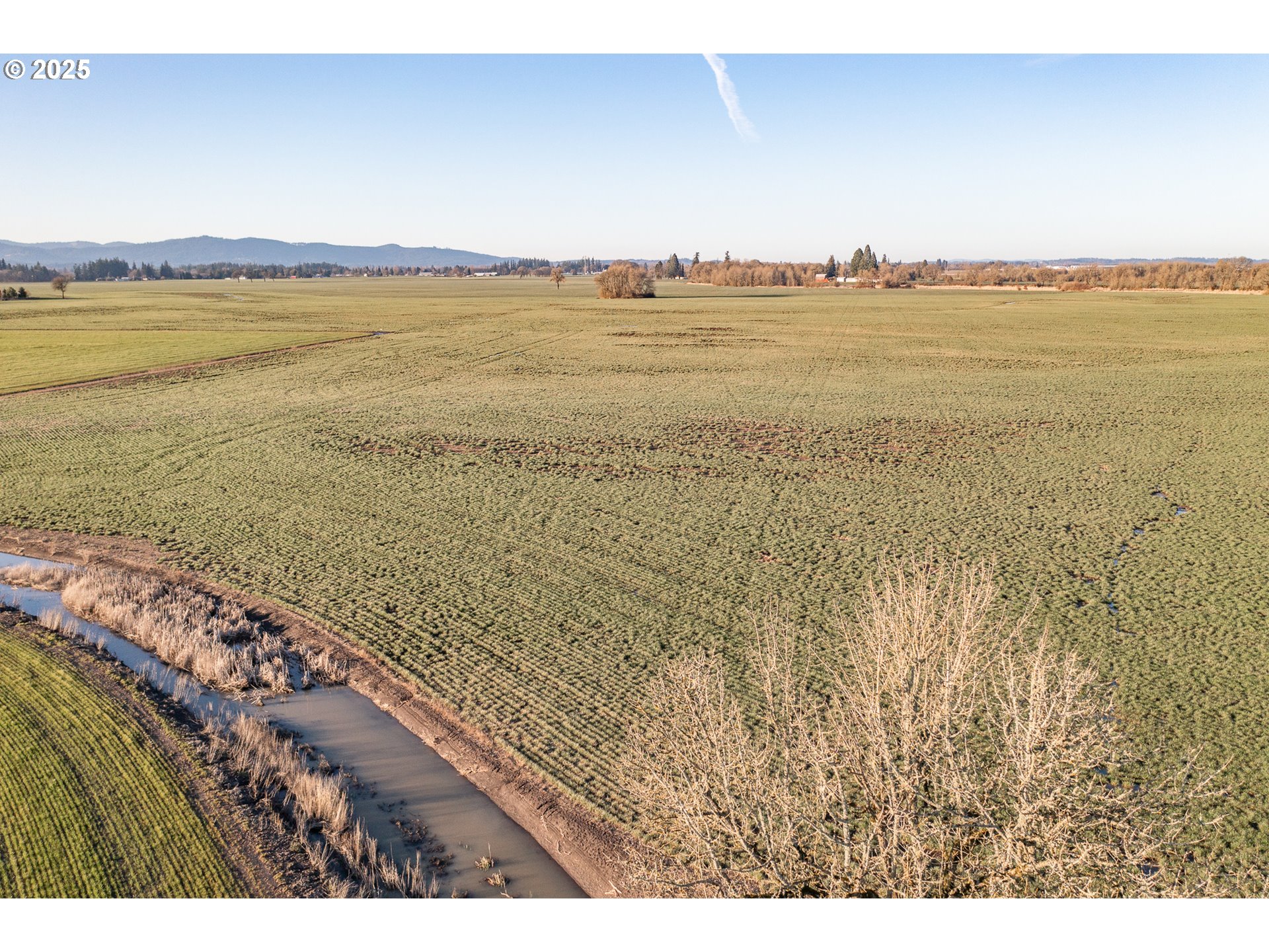 33154 Nxt To) Oakville Road Albany, OR 97321 - Photo 20 of 23 Gallery Image 20
