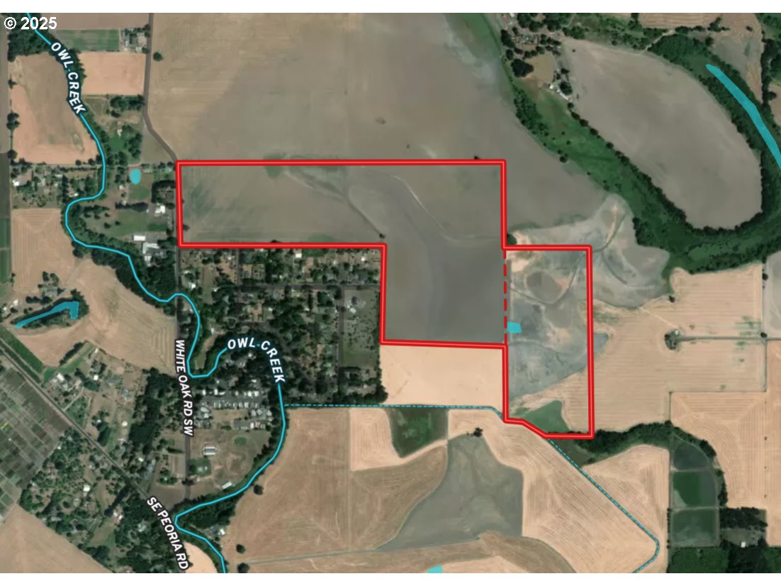33154 Nxt To) Oakville Road Albany, OR 97321 - Photo 2 of 23 Gallery Image 2