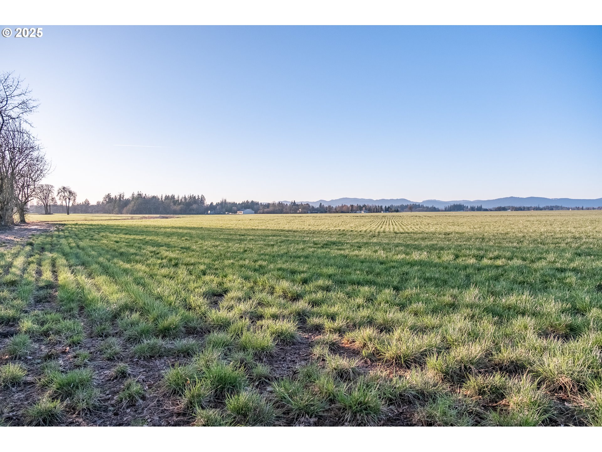 33154 Nxt To) Oakville Road Albany, OR 97321 - Photo 21 of 23 Gallery Image 21