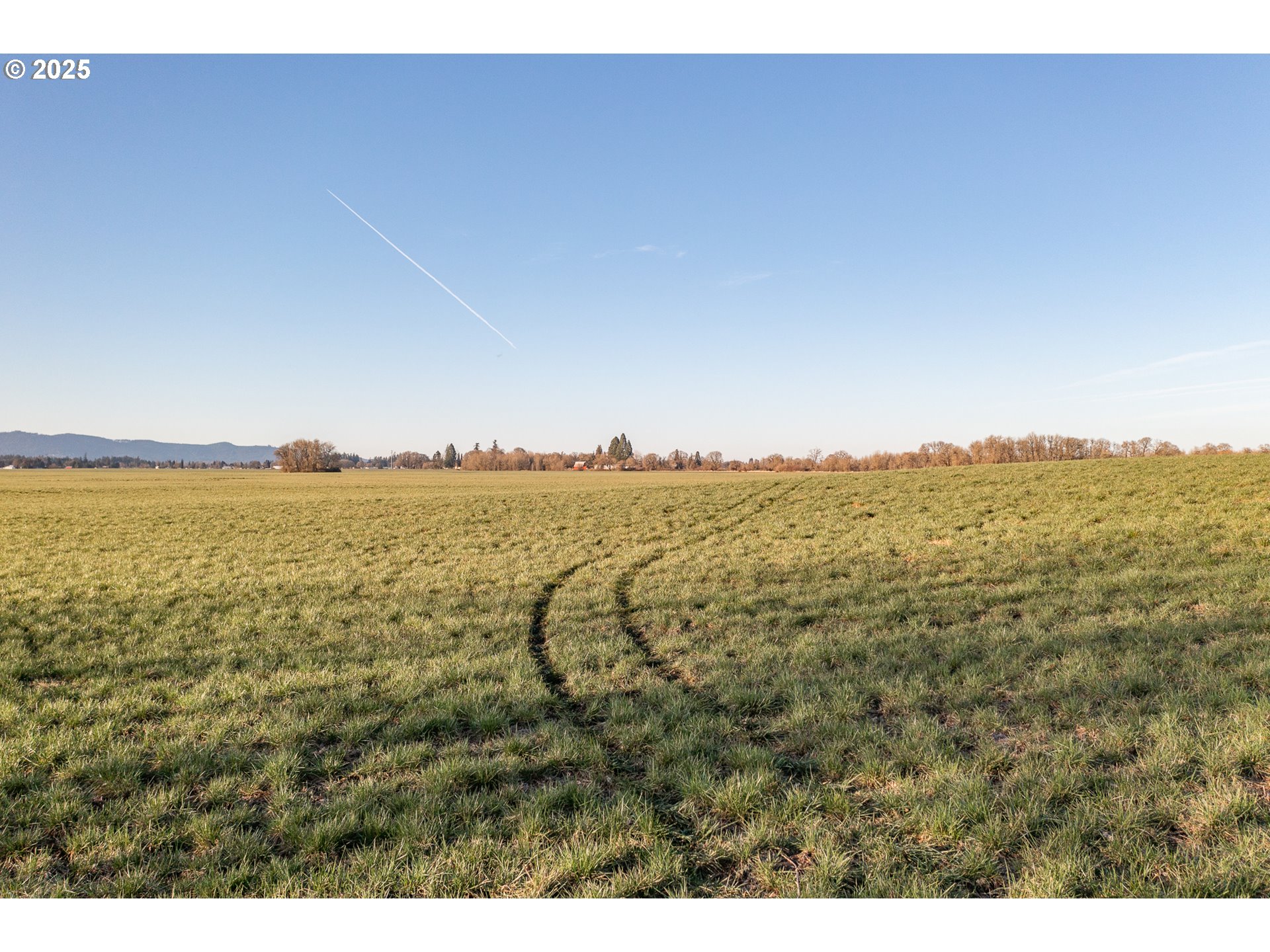 33154 Nxt To) Oakville Road Albany, OR 97321 - Photo 9 of 23 Gallery Image 9