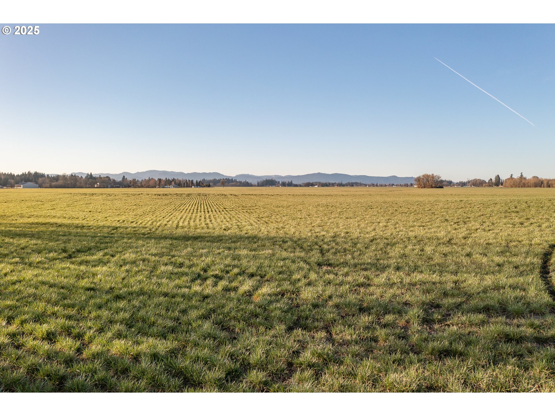 33154 Nxt To) Oakville Road Albany, OR 97321 - Photo 10 of 23 Gallery Image 10