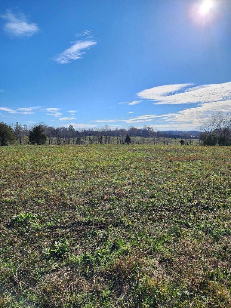 5140 Academy Road Cookeville, TN 38506 - Photo 17 of 19 Gallery Image 17