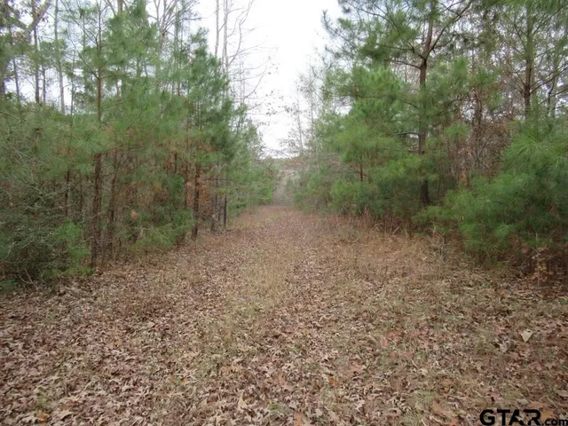 $204,400 | 7079 241 S, Alto, TX 75925