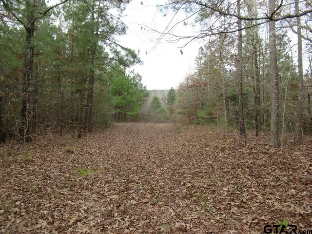 $204,400 | 7079 241 S, Alto, TX 75925