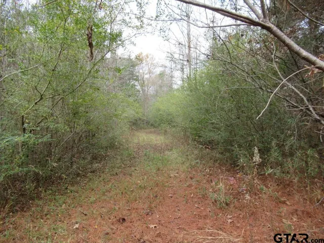 $204,400 | 7079 241 S, Alto, TX 75925