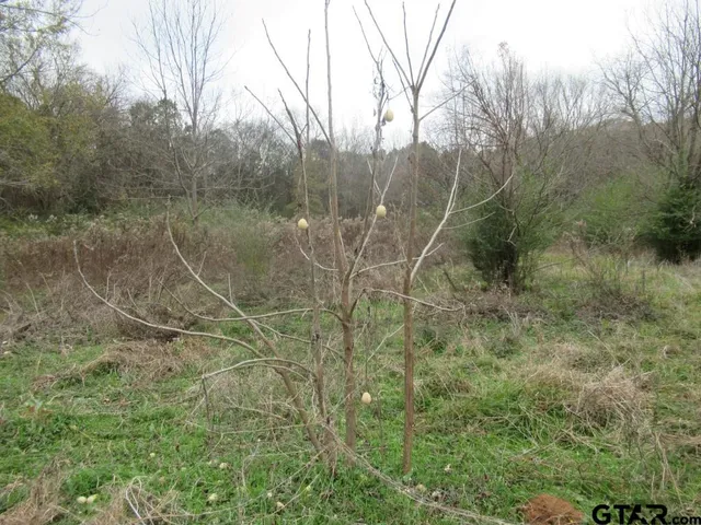 $204,400 | 7079 241 S, Alto, TX 75925