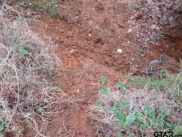 $204,400 | 7079 241 S, Alto, TX 75925