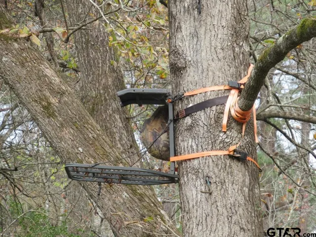 $204,400 | 7079 241 S, Alto, TX 75925