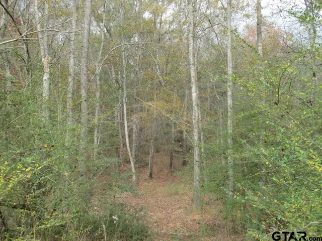 $204,400 | 7079 241 S, Alto, TX 75925