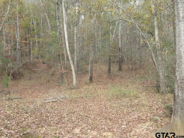 $204,400 | 7079 241 S, Alto, TX 75925