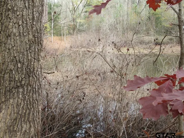 $204,400 | 7079 241 S, Alto, TX 75925