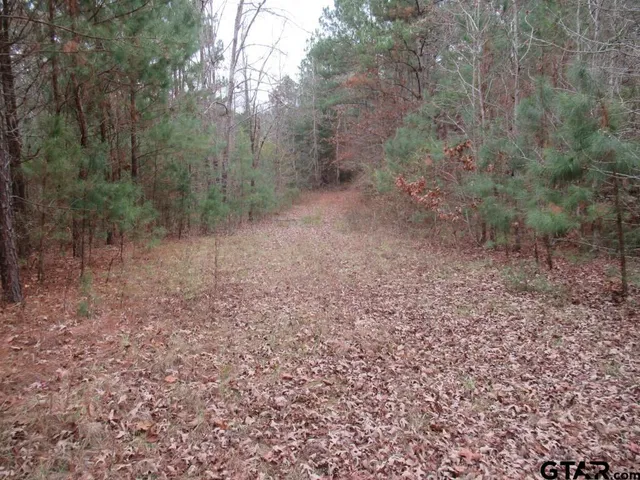 $204,400 | 7079 241 S, Alto, TX 75925