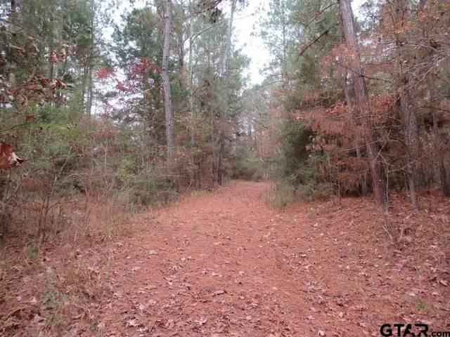 $204,400 | 7079 241 S, Alto, TX 75925