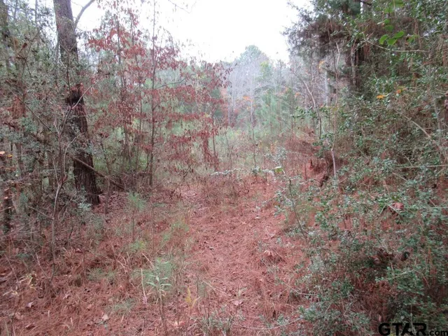 $204,400 | 7079 241 S, Alto, TX 75925