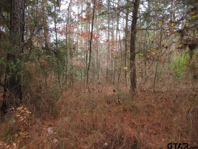 $204,400 | 7079 241 S, Alto, TX 75925