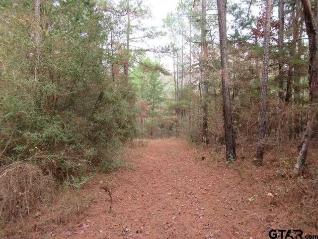 $204,400 | 7079 241 S, Alto, TX 75925