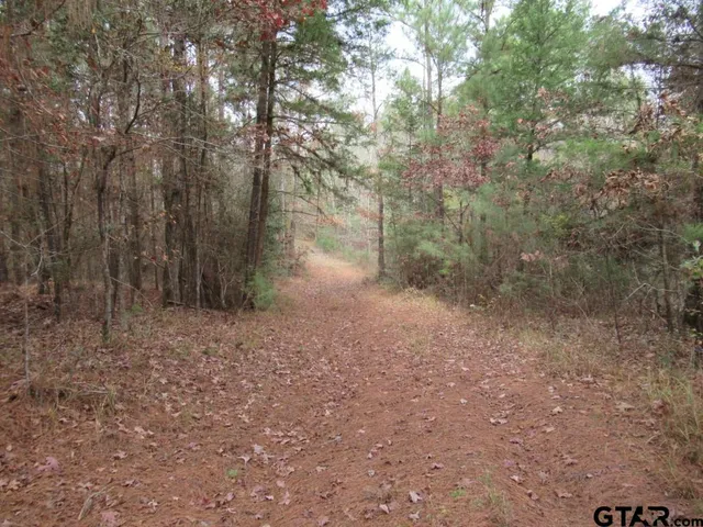 $204,400 | 7079 241 S, Alto, TX 75925