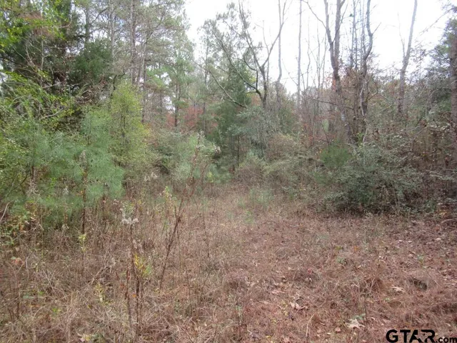 $204,400 | 7079 241 S, Alto, TX 75925