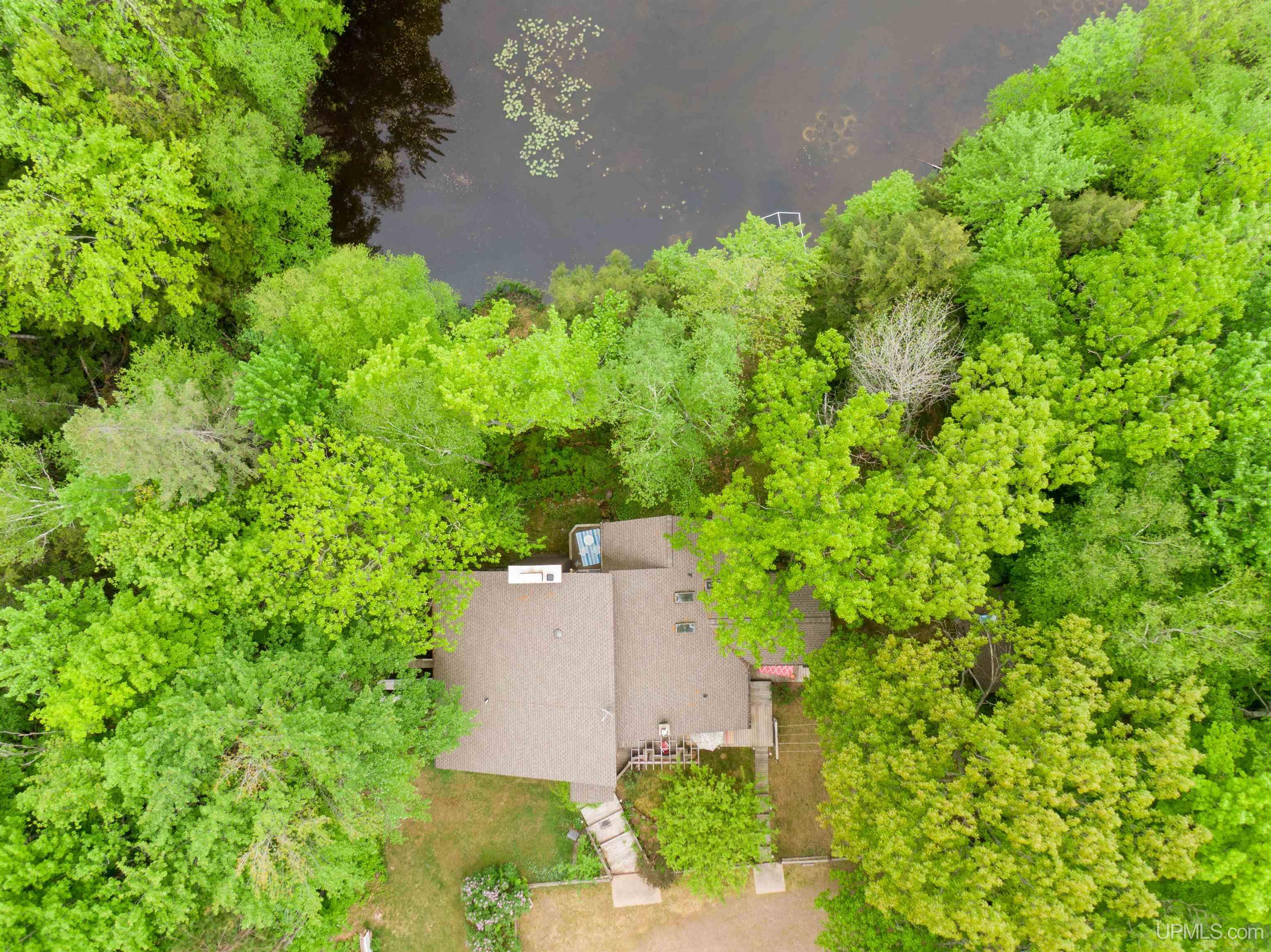 1605 Engman Lake Road Skandia, MI 49885 - Photo 58 of 90