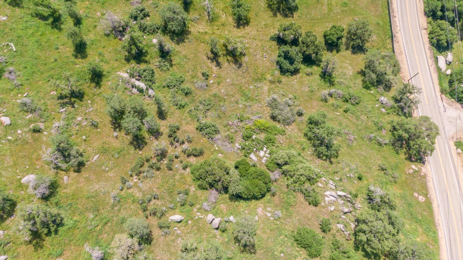 0 Pepperweed Road Squaw Valley, CA 93675 - Photo 13 of 23